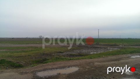 Satılır torpaq 131 sot