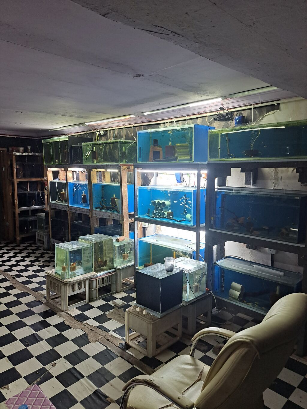 Dördbucaq akvarium, Boş, 100 l, Ünvandan götürmə — Heyvanlar, Bakı