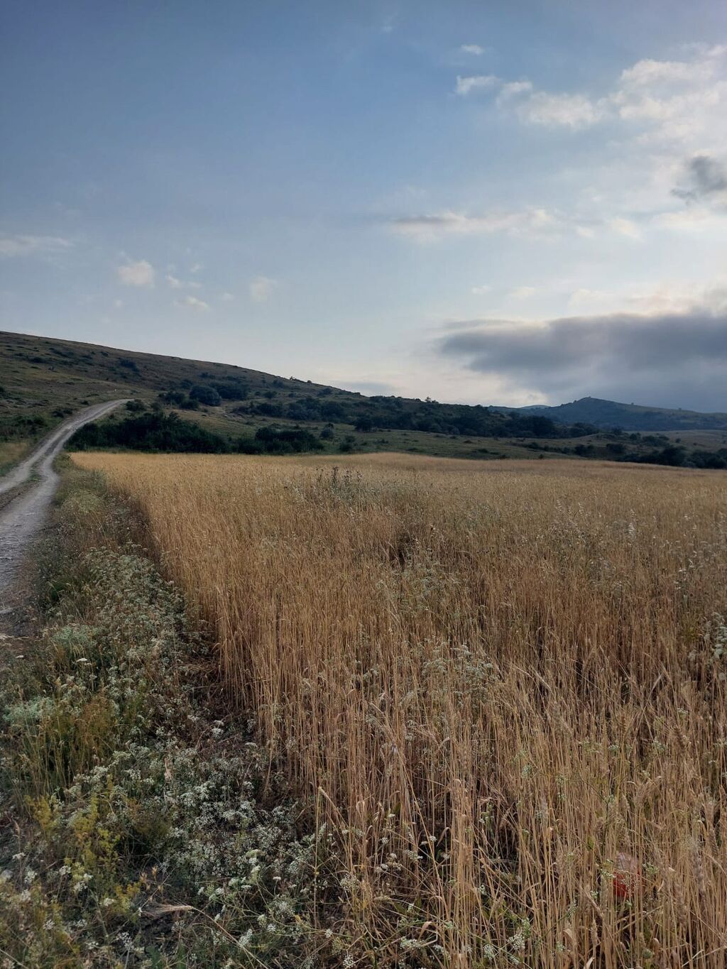 400 sot, Kənd təsərrüfatı, Mülkiyyətçi, Kupça (Çıxarış) — Torpaq, Xızı (2)