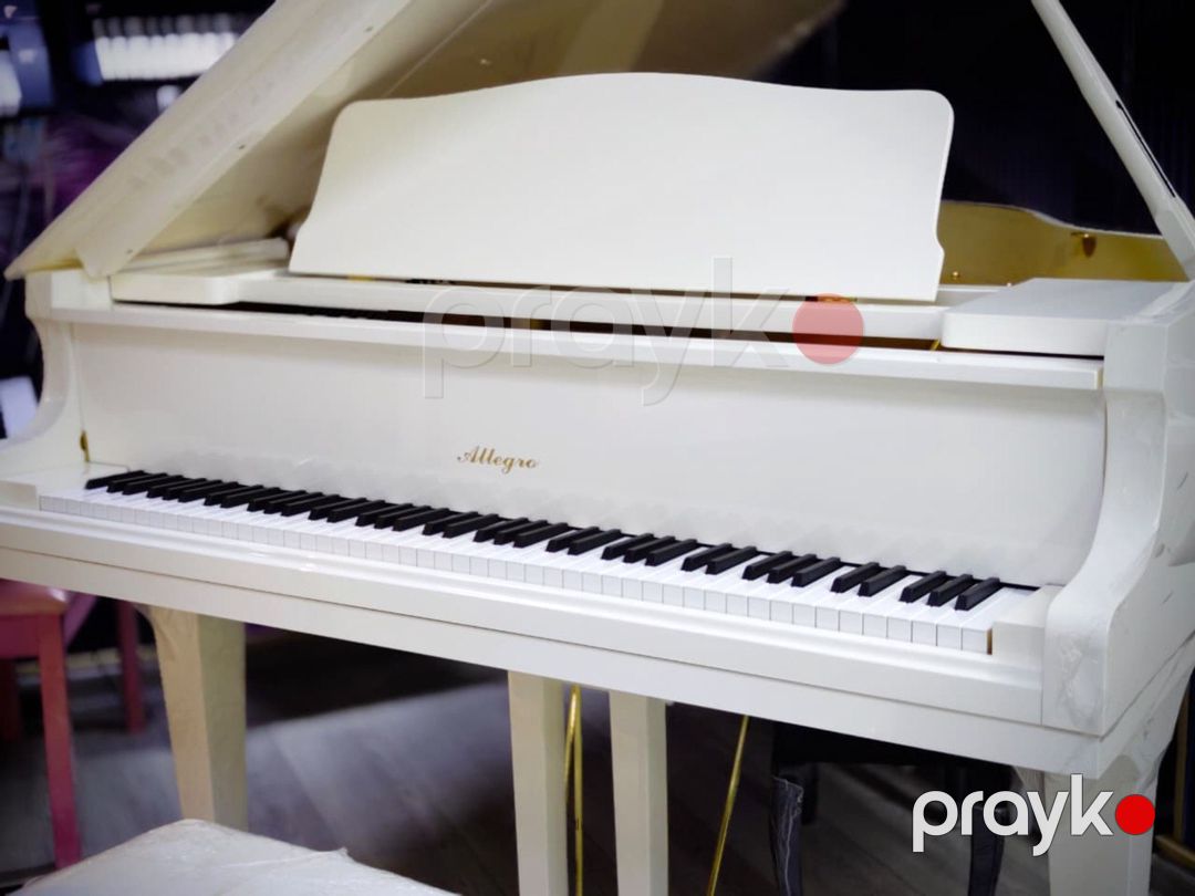 Akustik piano — Musiqiə alətləri, Bakı (3)