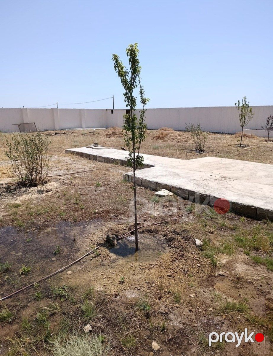 Satılır torpaq 10 sot — Torpaq, Bakı (6)