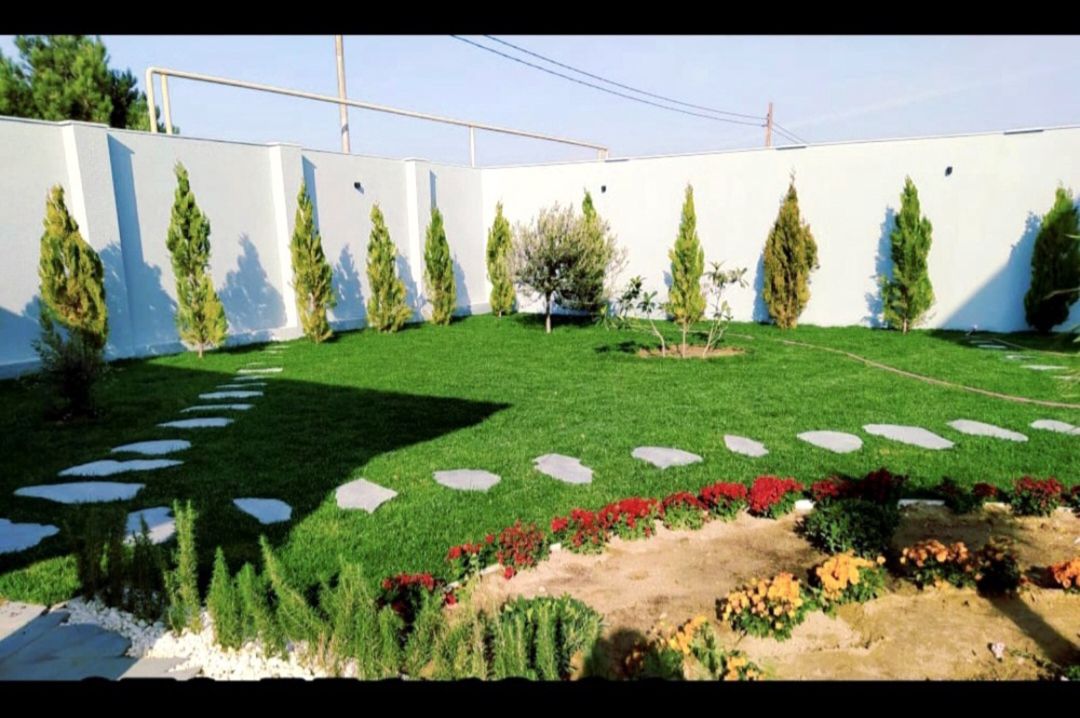 Qazon — Bitkilər, Bakı