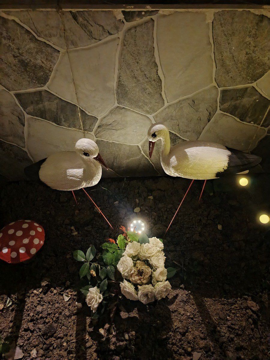 İcarəyə verilir 3 otaqlı həyət evi/bağ evi 77 m² — Ev, villa, Quba (9)