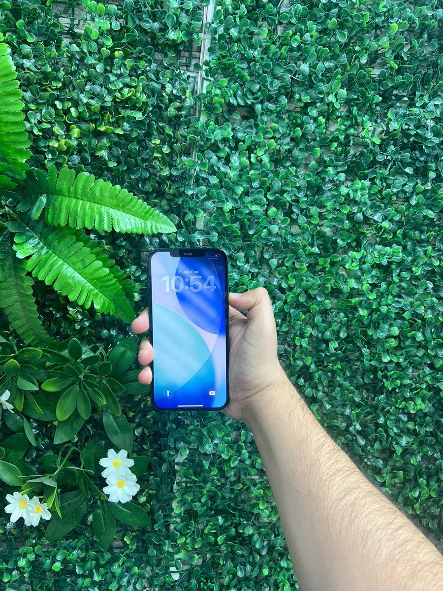 Apple iPhone 12 Pro Max Pacific Blue 128GB/6GB — Smartfonlar, Bakı (6)