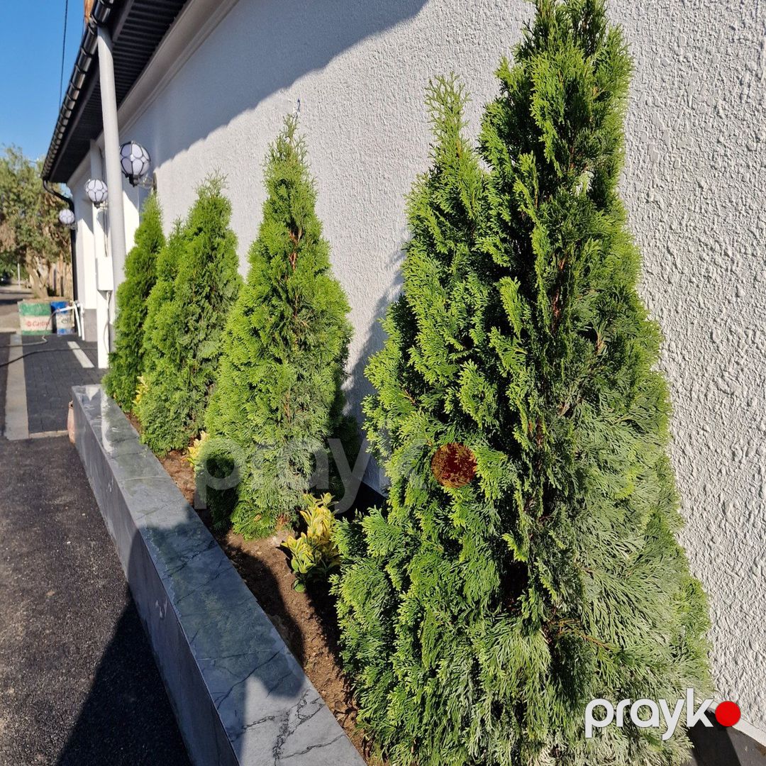 Satılır 7 otaqlı həyət evi/bağ evi 450 m² — Ev, villa, Bakı (12)