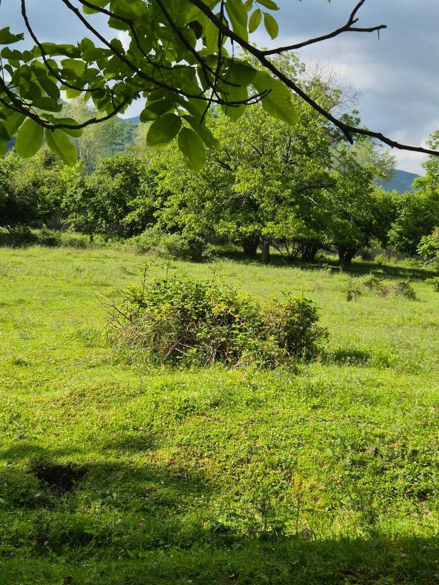 Satılır torpaq 4 sot — Torpaq, Qəbələ (4)