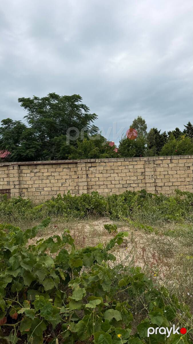 Satılır torpaq 4 sot — Torpaq, Bakı (7)