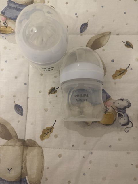 Philips Avent qida qabı