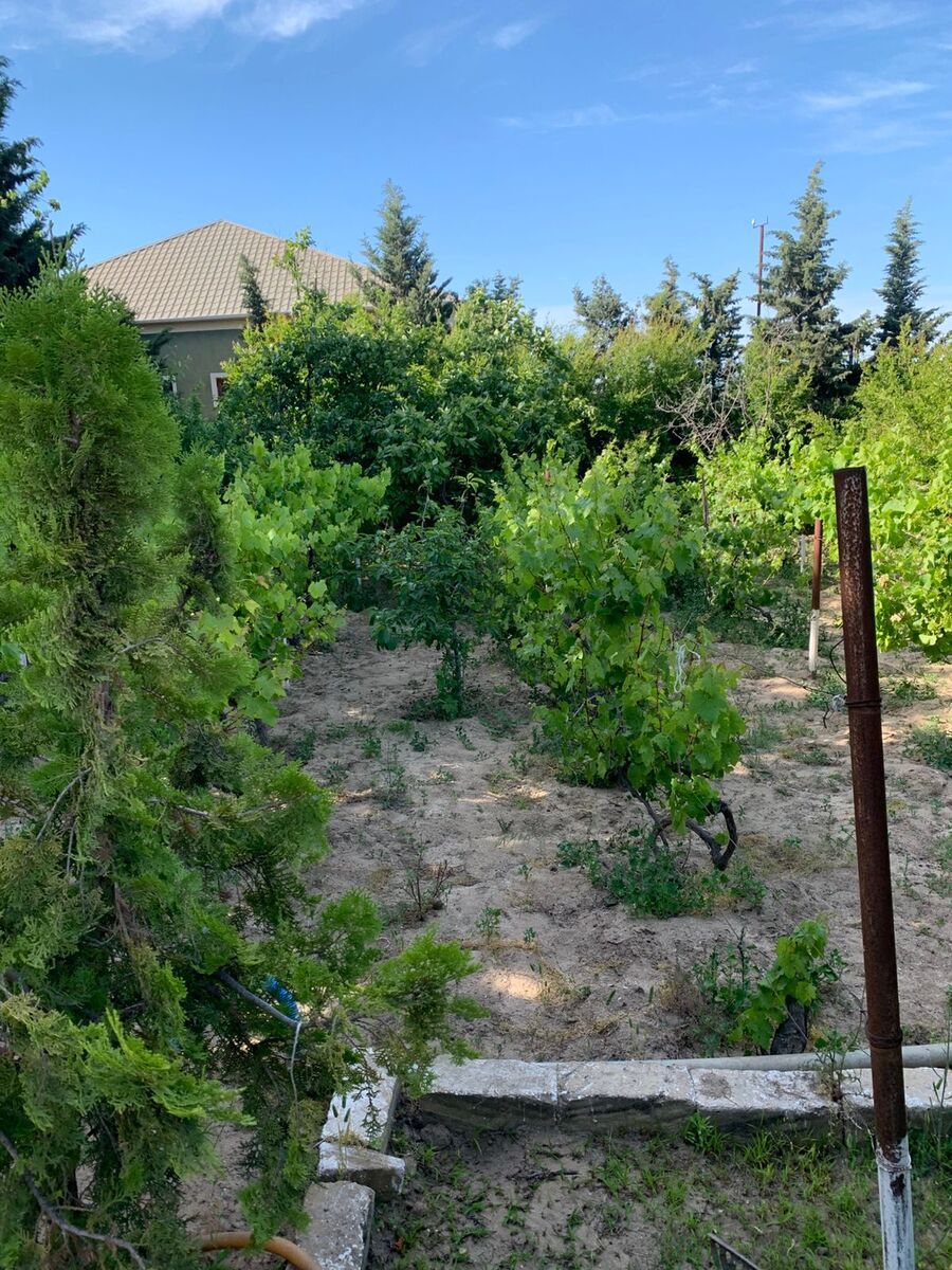 Satılır torpaq 12 sot — Torpaq, Bakı (2)