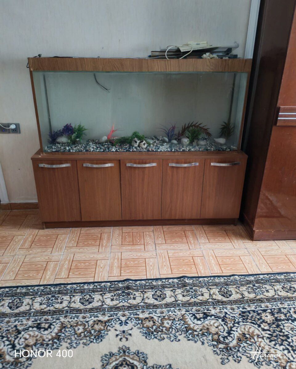 Akvarium — Akvariumlar və balıqlar, Bakı