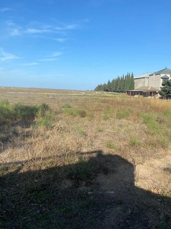 Satılır torpaq 220 sot — Torpaq, Bakı (11)