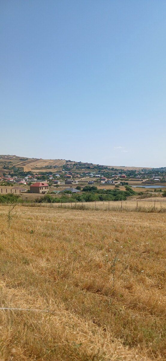 220 sot torpaq sahəsi, Şamaxı r. — Torpaq, Şamaxı (11)