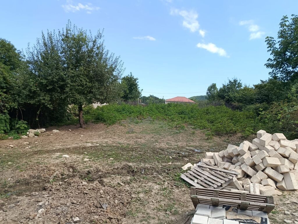 Tikinti — Torpaq, Şabran (5)