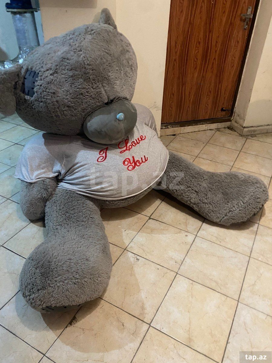 Oyuncaq ayı Teddy — Oyuncaqlar, Bakı (2)