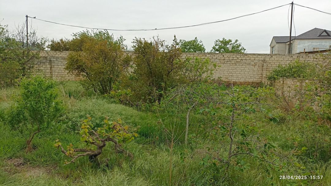 Satılır torpaq 10 sot — Torpaq, Sumqayıt (4)