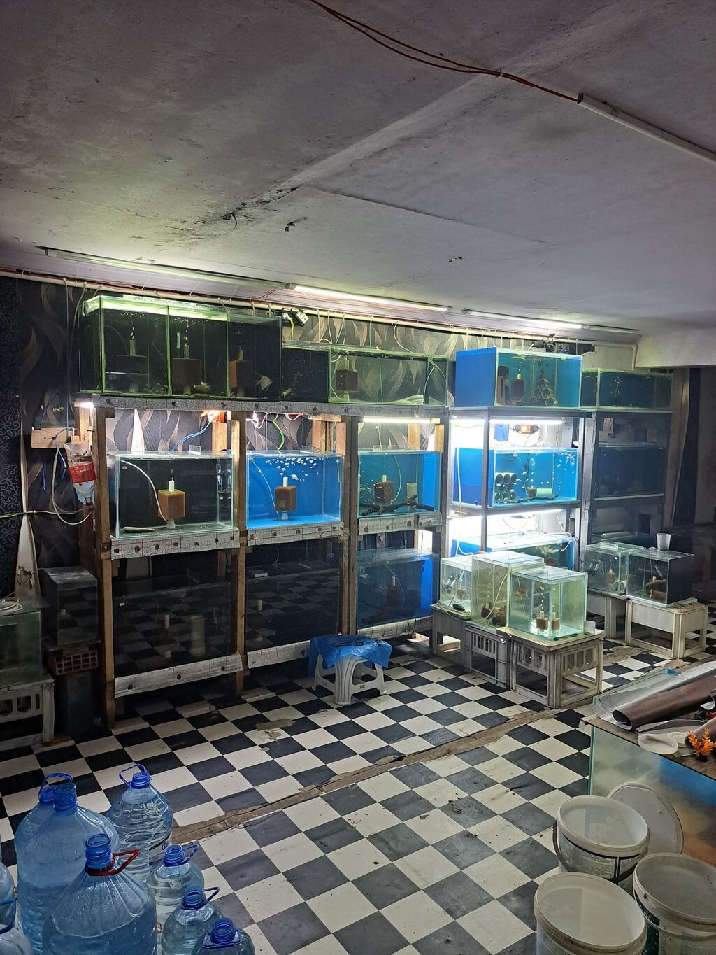 Dördbucaq akvarium, Boş, 100 l, Ünvandan götürmə — Heyvanlar, Bakı (2)