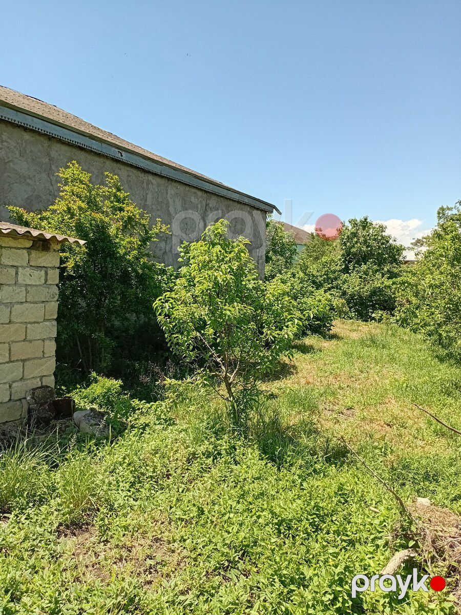 37 sot torpaq sahəsi, Xaçmaz r — Torpaq, Xaçmaz (6)