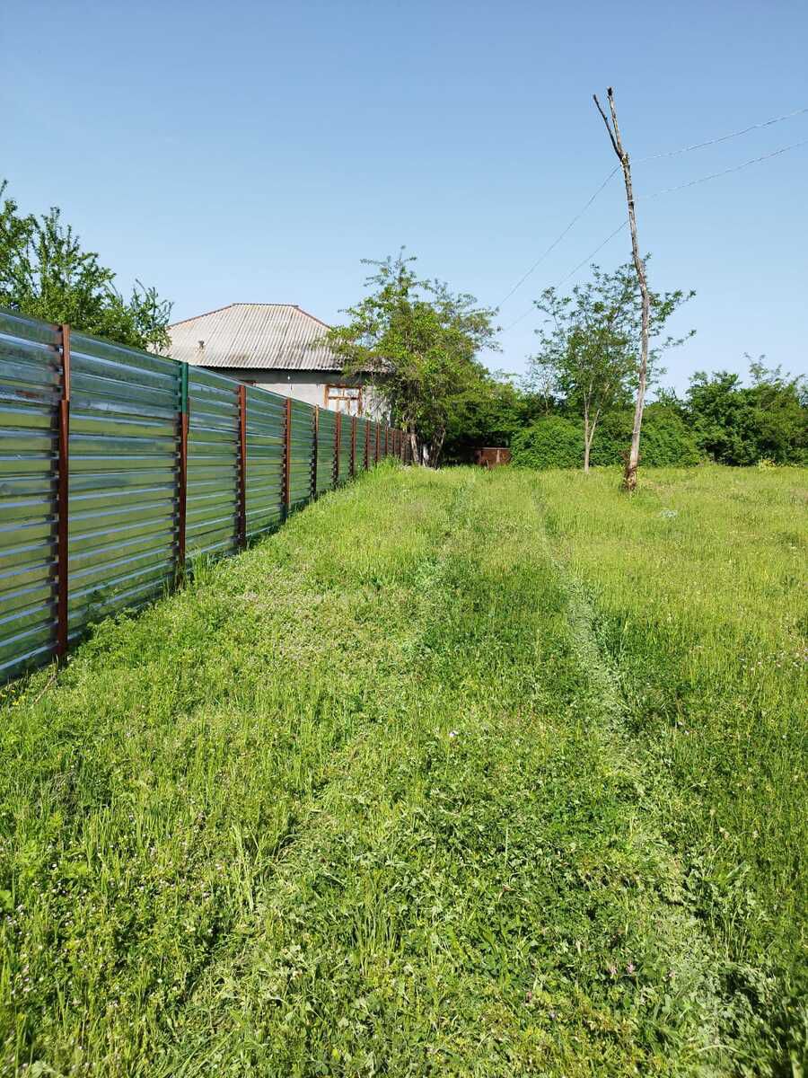 Satılır torpaq 45 sot — Torpaq, Qəbələ (3)