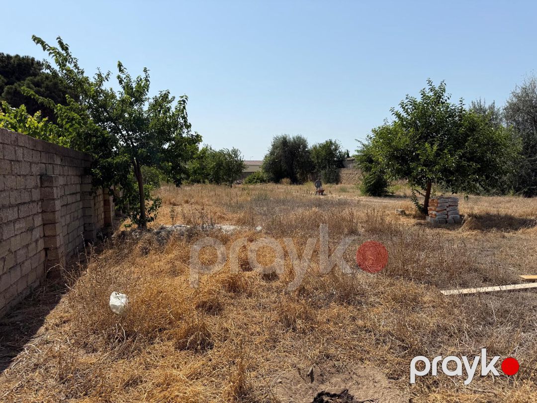 Satılır torpaq 12 sot — Torpaq, Bakı (5)
