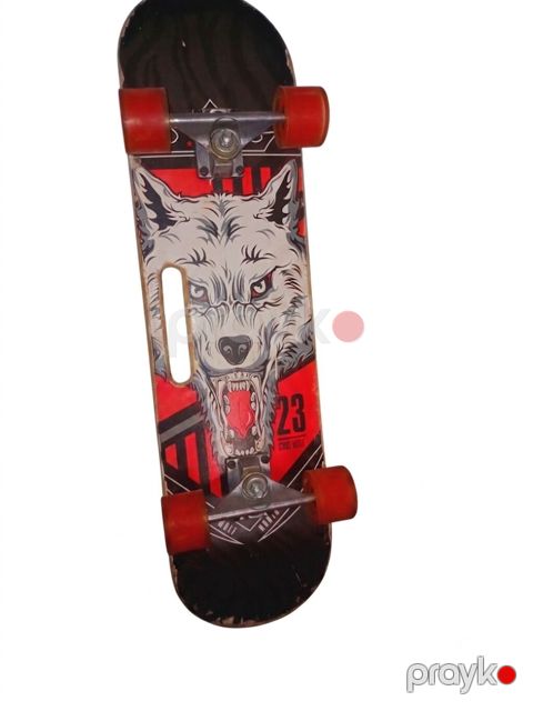 Skateboard – Qurd dizaynlı, LED işıqlı təkərlər - Taxta: klassik — Bakı