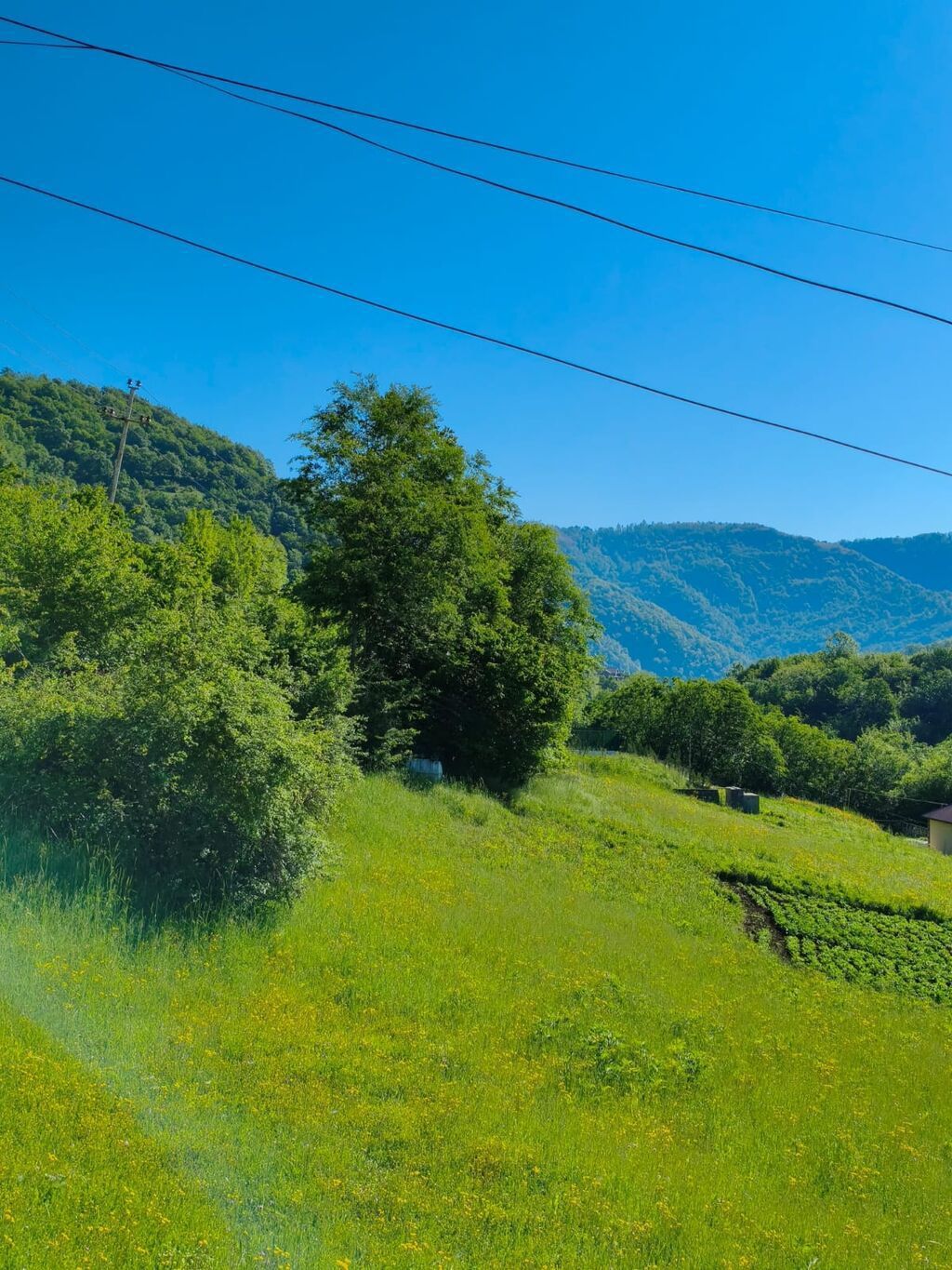 3 otaqlı, 110 kv. m, Kredit yoxdur, Yeni təmirli — Daşınmaz əmlak, Lerik (4)