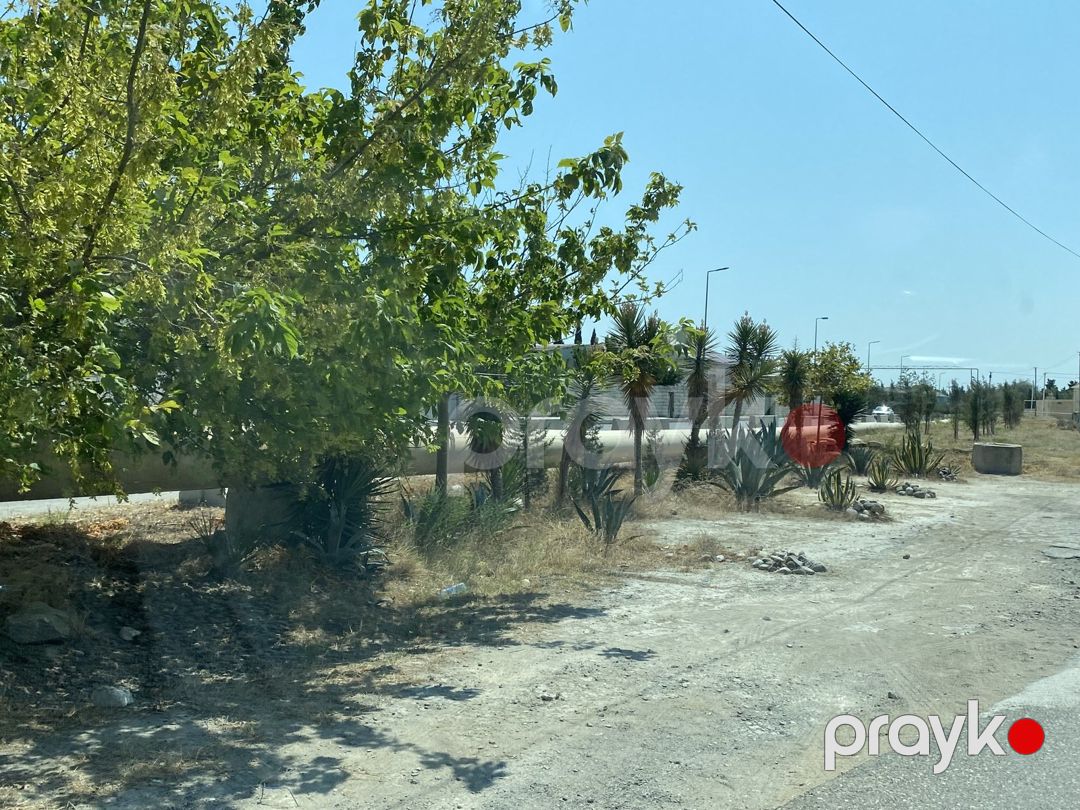 Satılır torpaq 5 sot — Torpaq, Bakı (4)