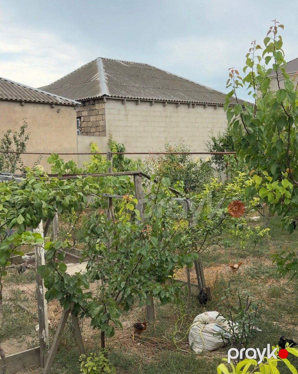 2 sot torpaq sahəsi, Binə qəs. — Torpaq, Bakı (3)