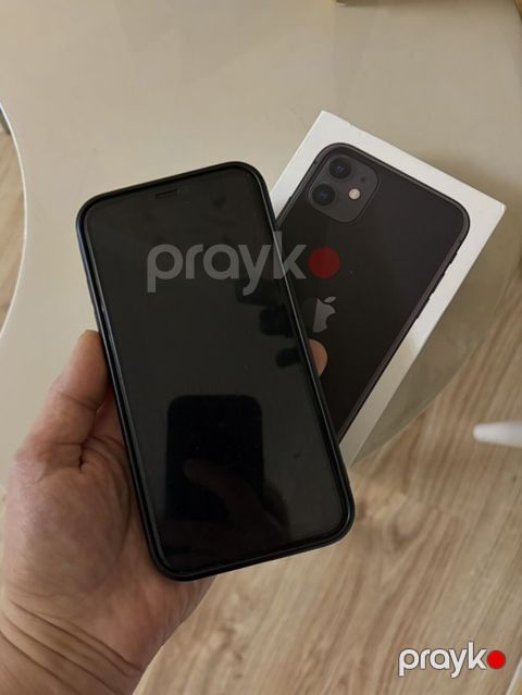 IPhone 11, Qara