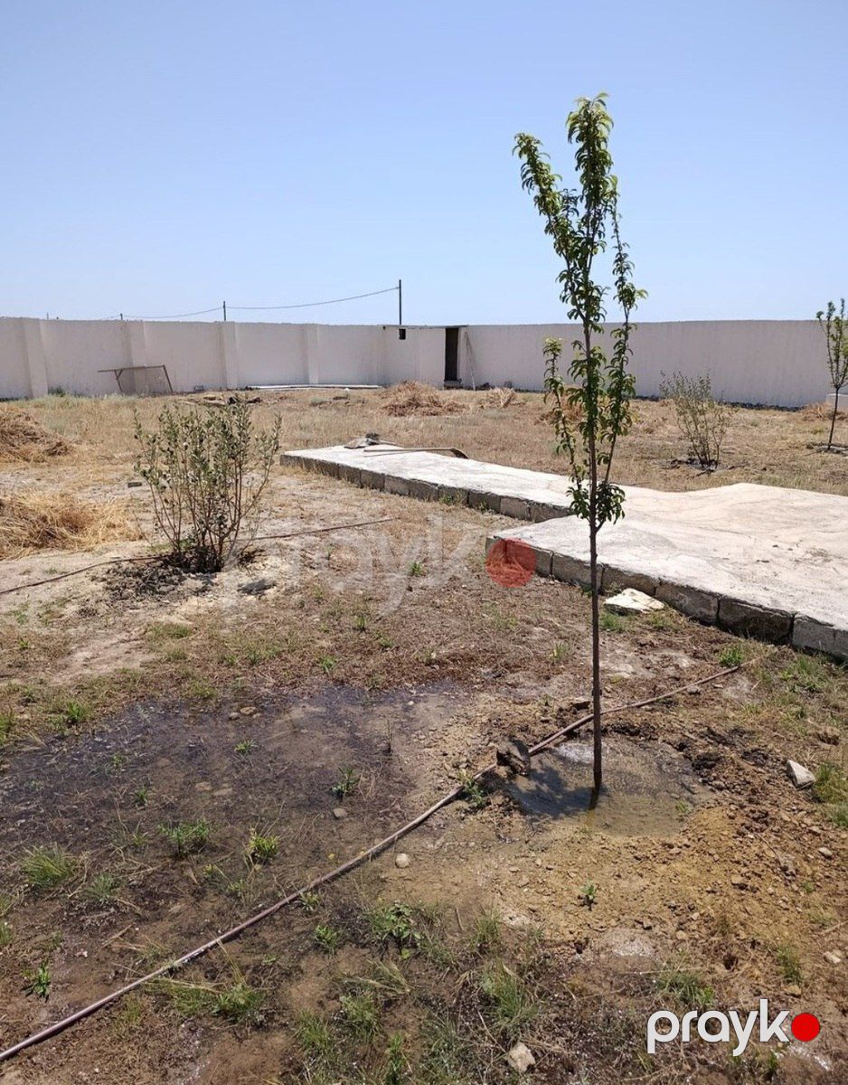 Satılır torpaq 10 sot — Torpaq, Bakı (4)