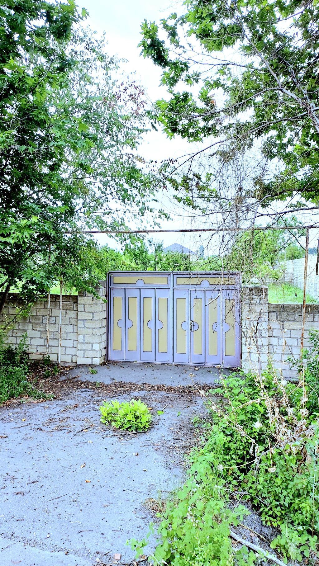 24 sot, Tikinti, Mülkiyyətçi, Kupça (Çıxarış) — Torpaq, Göyçay