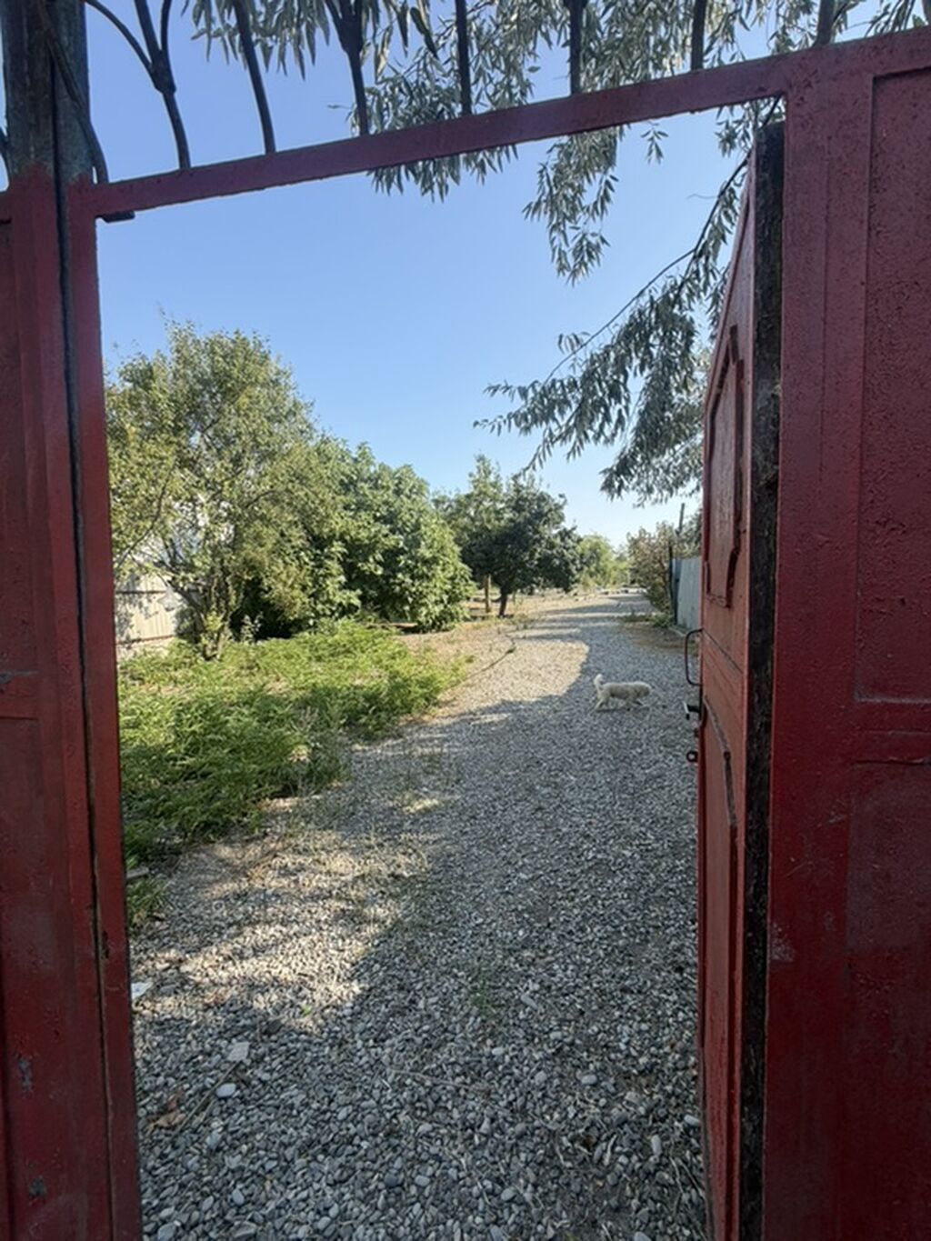 25 sot, Tikinti, Mülkiyyətçi, Kupça (Çıxarış) — Torpaq, Xaçmaz (3)