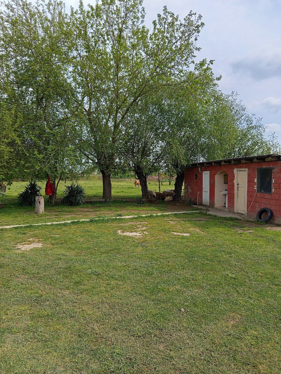 Həyət evi, Sabirabad r. — Daşınmaz əmlak, Sabirabad (10)