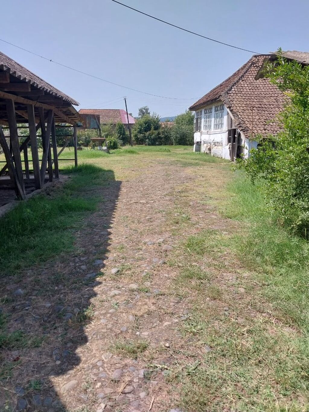 Kənd təsərrüfatı — Torpaq, Masallı (4)