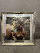 Mövzu: At təsvirli bədii tablo – çərçivəli Təsvir: olcusu 70 70 - — Goods