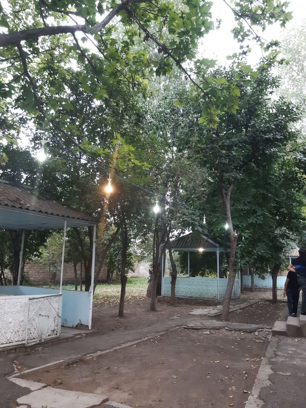 Nərgiz kafesine ofsiyant xanım teleb olnur maaş 30 azn +yimək çayavoy — Daşınmaz əmlak, Tovuz (9)