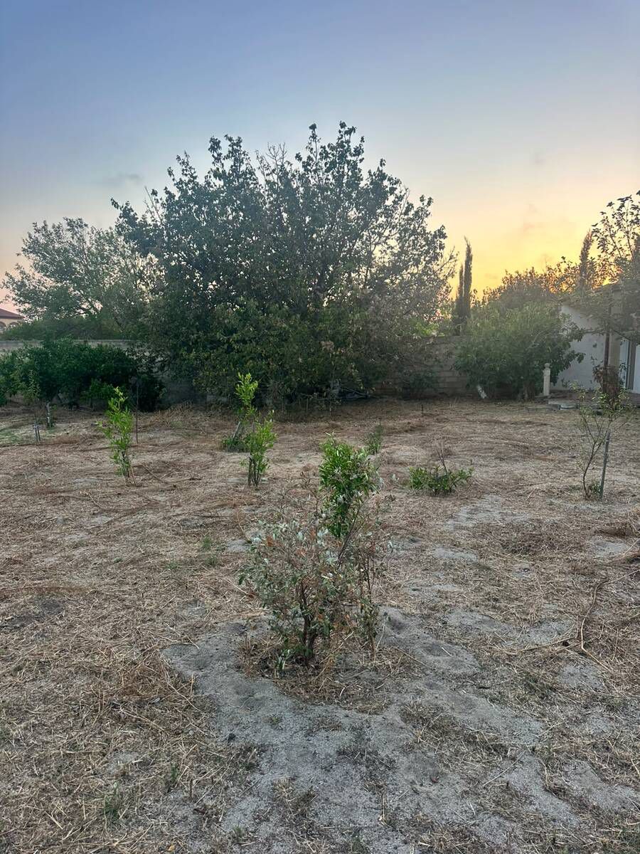 Satılır torpaq 4 sot — Torpaq, Bakı (8)
