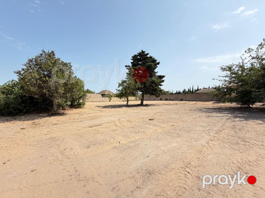 Satılır torpaq 8 sot — Torpaq, Bakı (5)