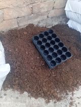 Torf 5 eded agaclar ucun kokledirci torf kisesi 35 azn Məhsul — Plants