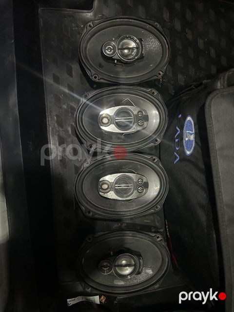 Pioneer dinamik