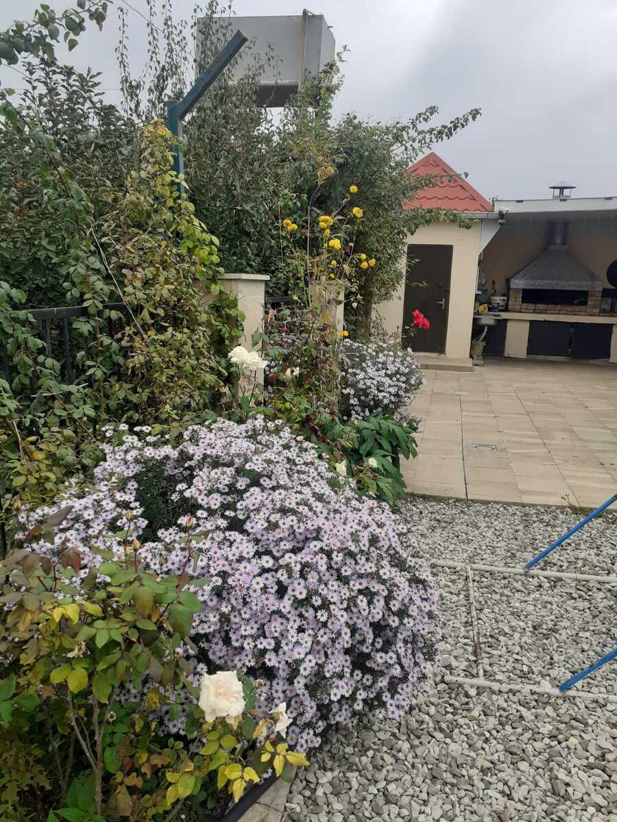 Villa kirayə verilir, Şamaxı r. — Daşınmaz əmlak, Şamaxı