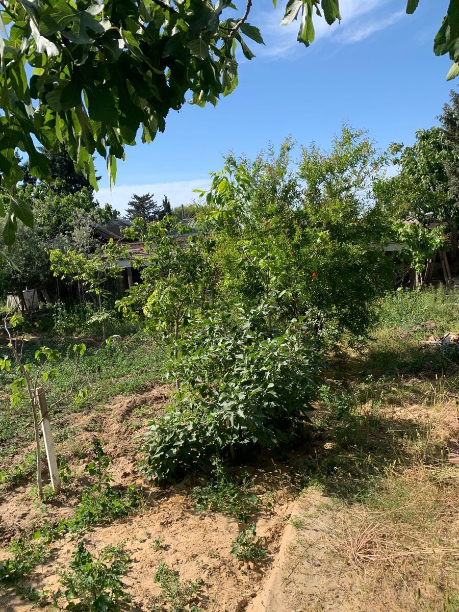 Satılır torpaq 12 sot — Torpaq, Bakı (11)
