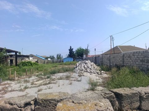 18 sot, Tikinti, Kupça (Çıxarış)