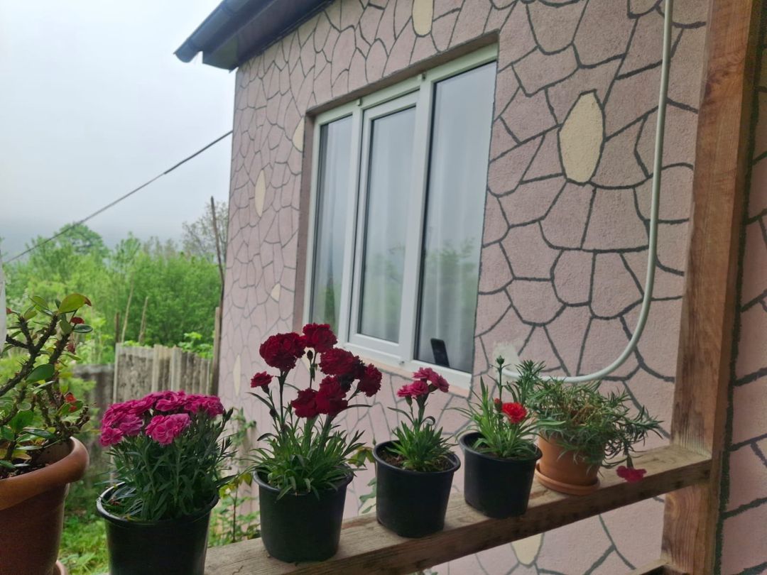 Həyət evi kirayə verilir, Quba r. — Daşınmaz əmlak, Quba (3)