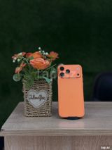 Apple iPhone 17 Pro Max Cosmic Orange 256GB/12GB — Al Mobile — Телефоны и гаджеты