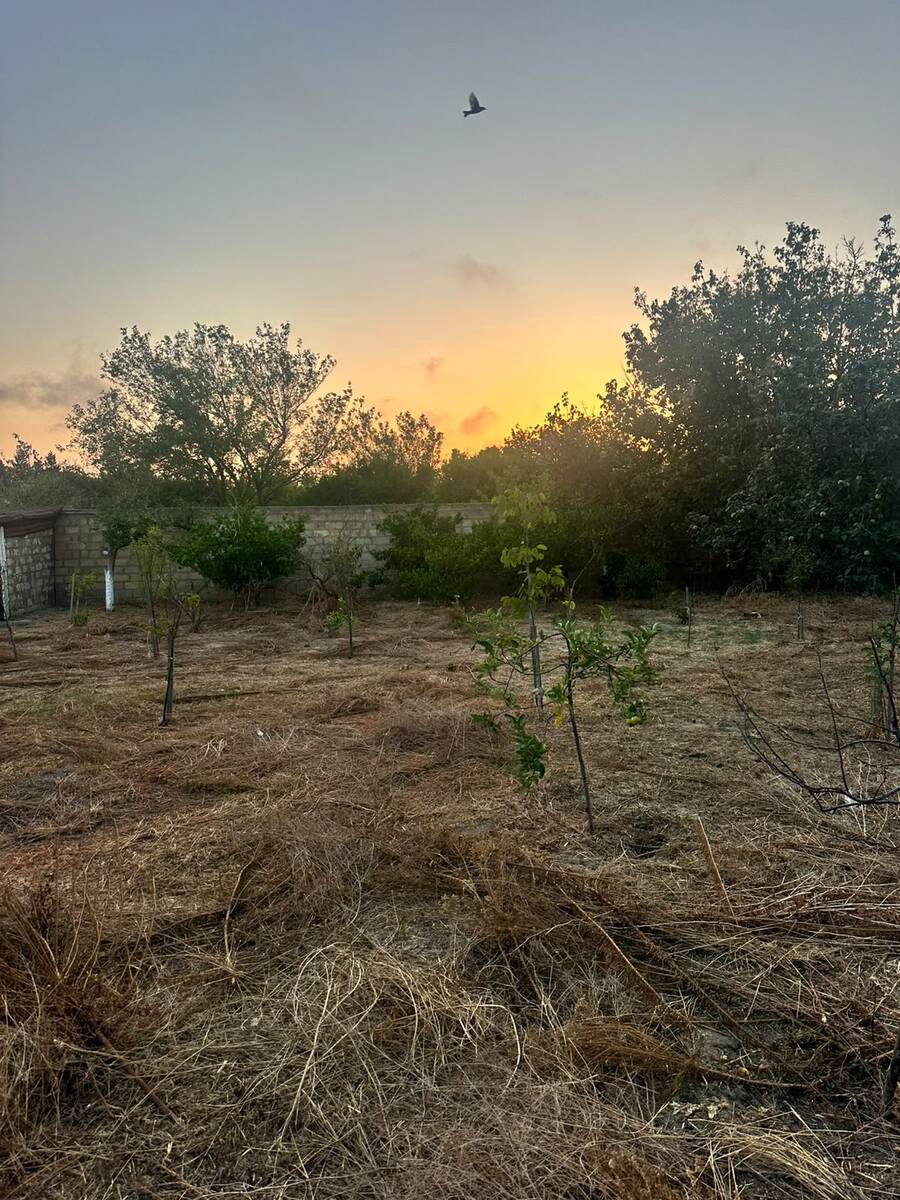 Satılır torpaq 4 sot — Torpaq, Bakı (2)