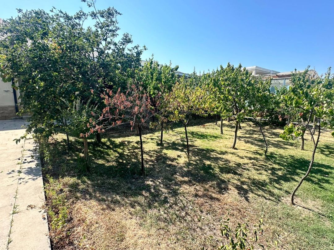 Satılır 3 otaqlı həyət evi/bağ evi 250 m² — Ev, villa, Bakı (10)