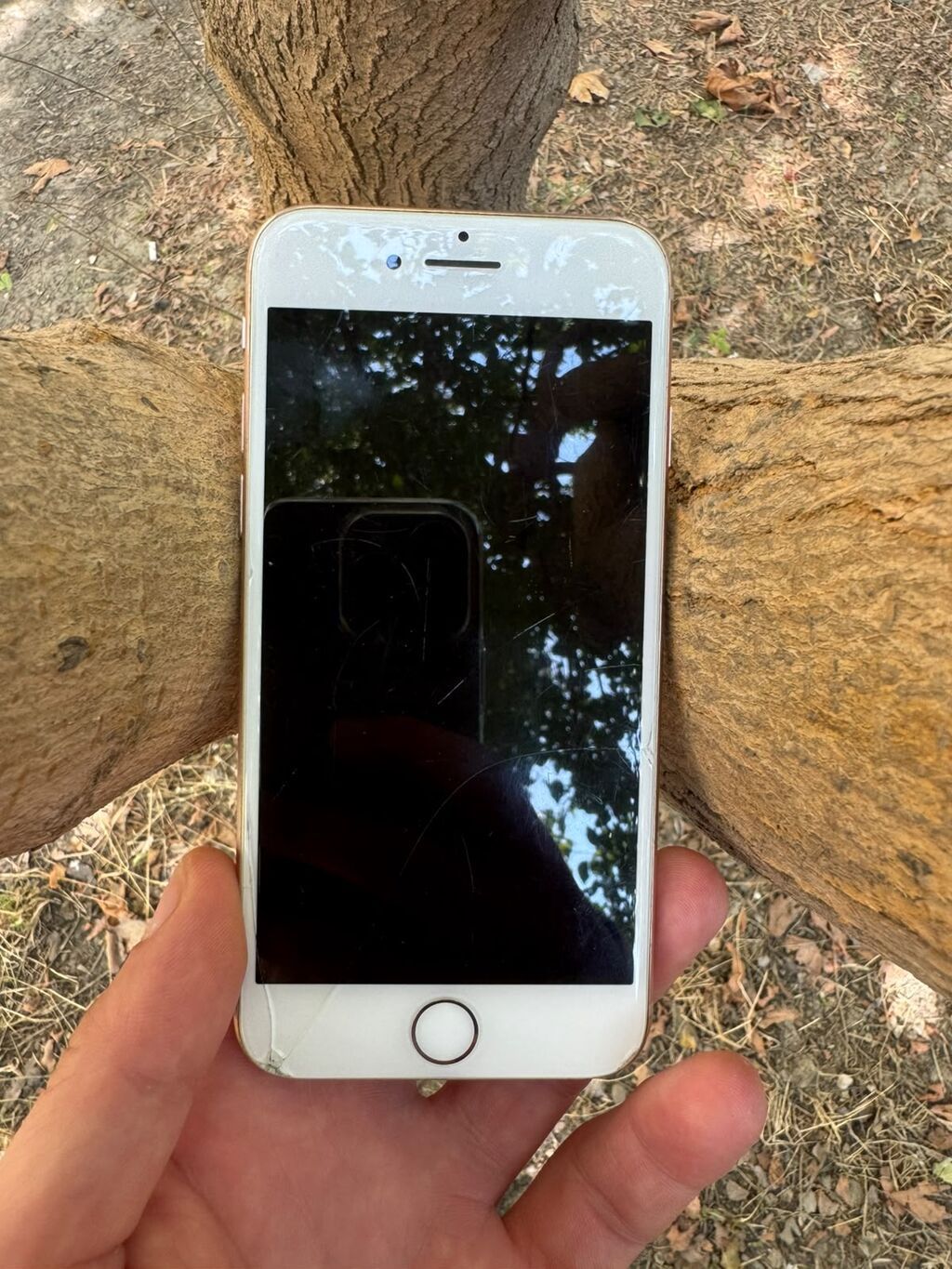 IPhone 8, 64 GB, Qızılı — Apple iPhone, Bakı (2)