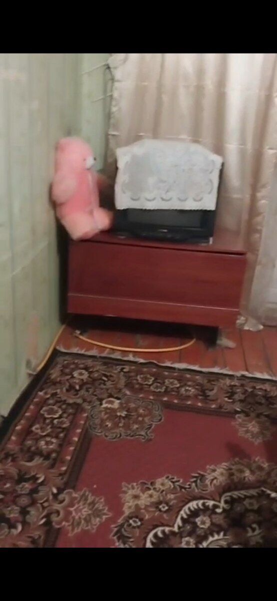 1-otaqlı mənzil kirayə verilir, Gəncə ş., 38 m² — Daşınmaz əmlak, Gəncə (4)