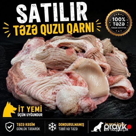 Məhsul: Təzə quzu qarnı (it yemi üçün). - 100% təzə, yüksək — Digah