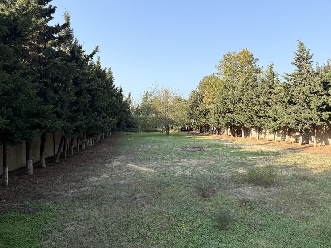 18 sot torpaq sahəsi, Bilgəh qəs. — Torpaq, Bakı
